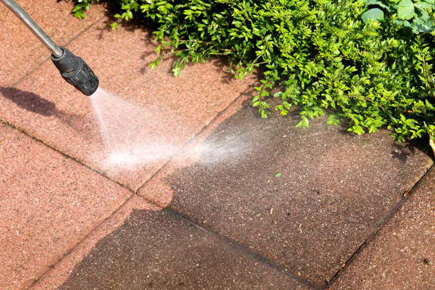 Best Fence Pressure Washing  in Norridge, IL